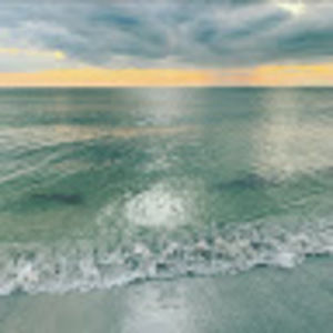 Meet your Posher, Tess